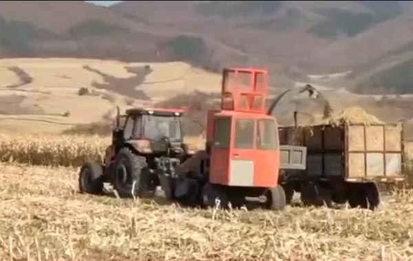 視頻工作：四平隆發機械9YF-2.2稭稈飼料方捆打捆機